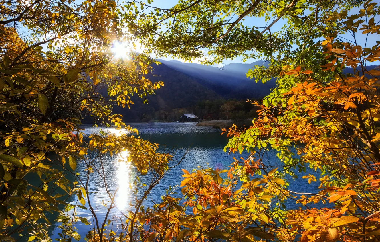 Фото обои солнце, лучи, деревья, горы, озеро, Япония, Тотиги, Никко