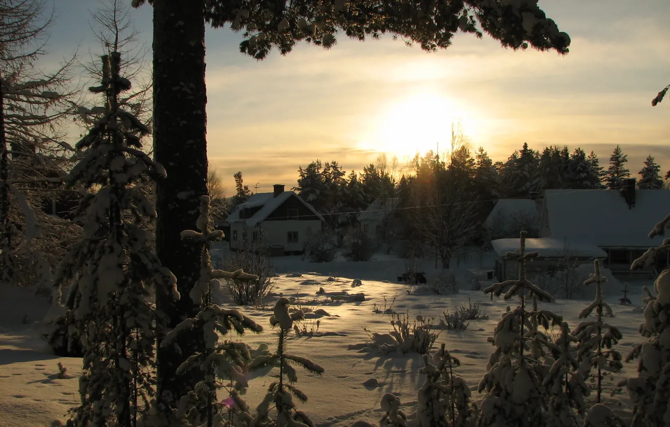 Фото обои зима, лес, снег, winter, поселок