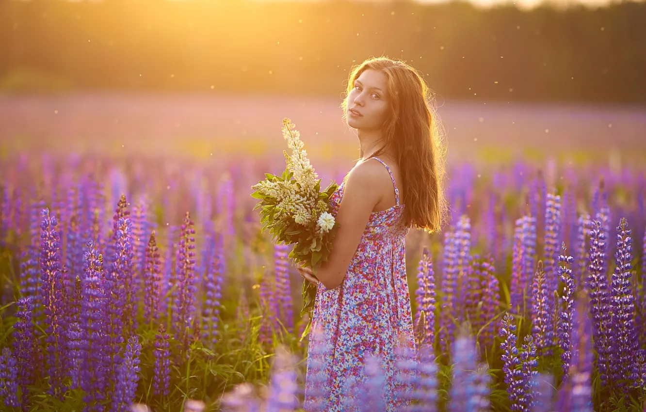 Фото обои лето, взгляд, девушка, цветы, поза, настроение, букет, луг