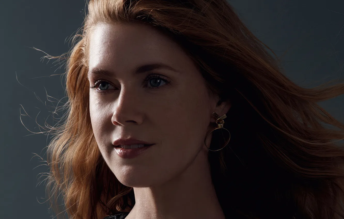 Фото обои портрет, макияж, актриса, прическа, шатенка, красотка, Amy Adams, Эми Адамс