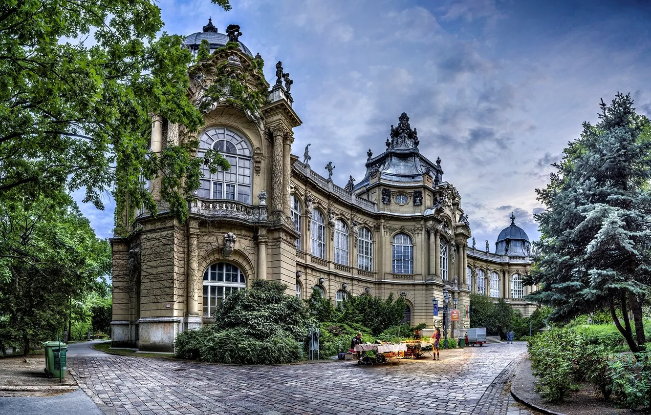 Фото обои небо, деревья, парк, замок, пасмурно, Венгрия, Hungary, Будапешт