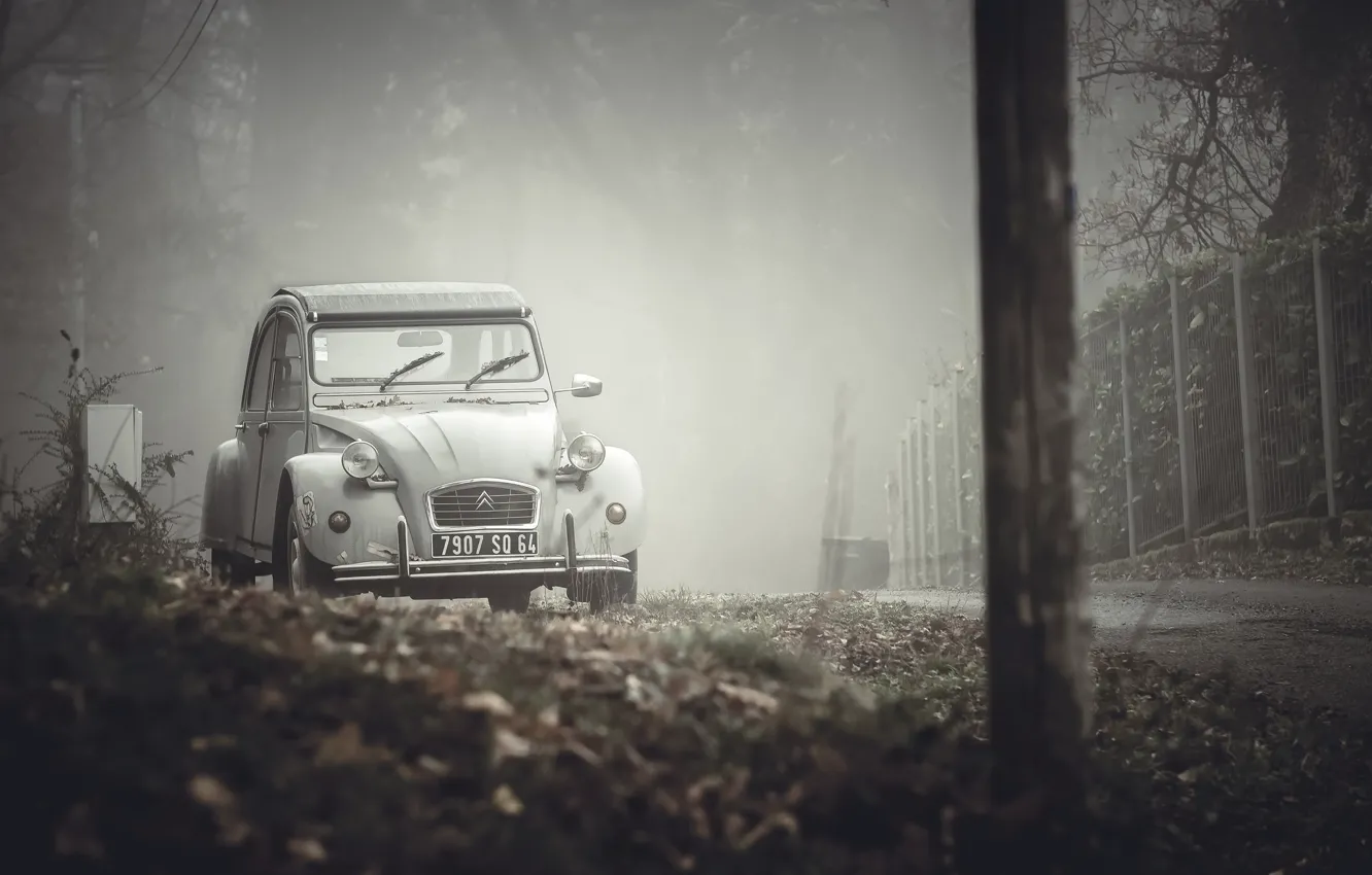 Фото обои машина, туман, улица