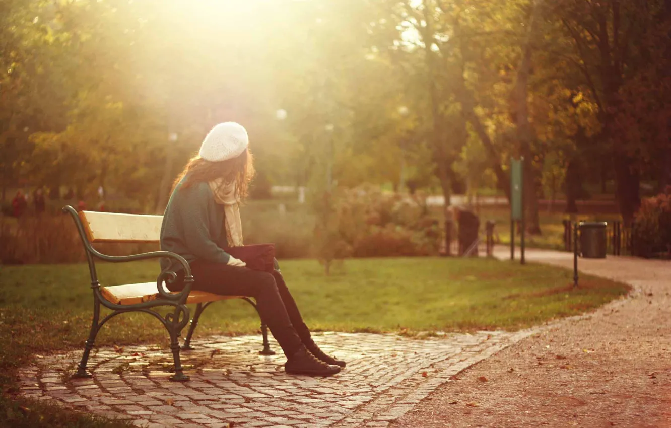 Фото обои girl, autumn, seat, bench, sunlight, fall, daylight