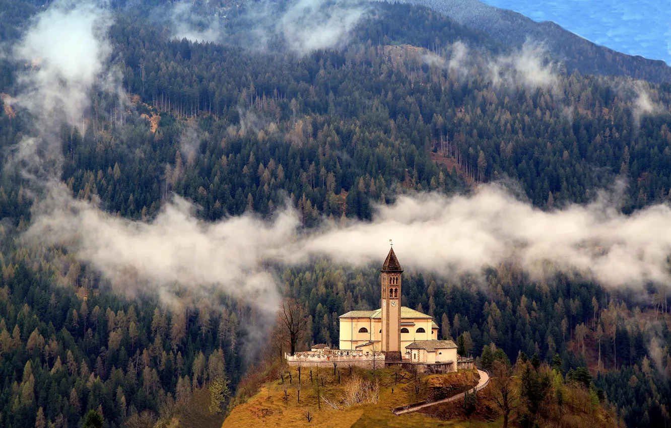 Фото обои осень, лес, облака, горы, туман, замок, вид, высота