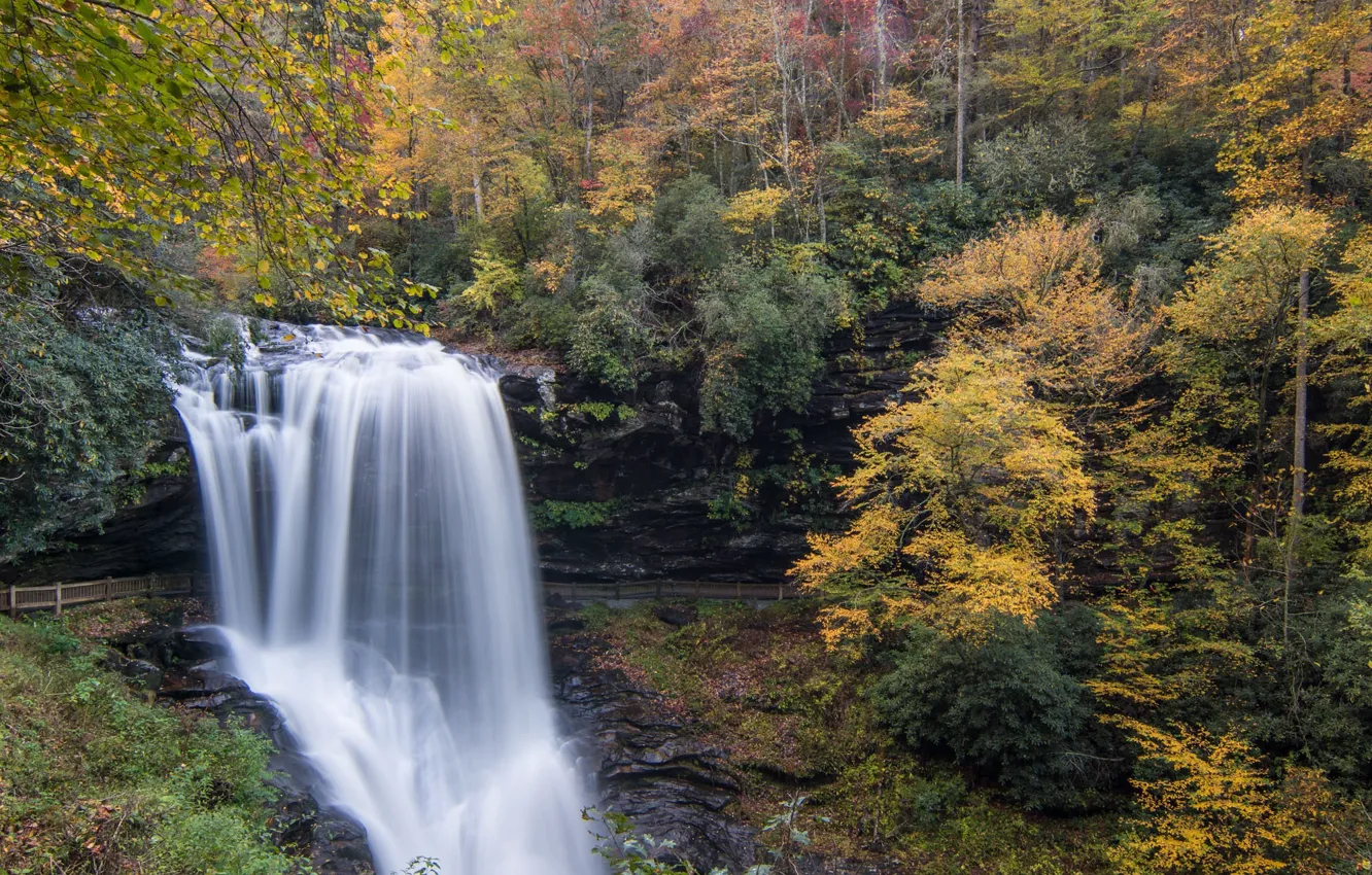 Фото обои осень, лес, пейзаж, природа, водопад