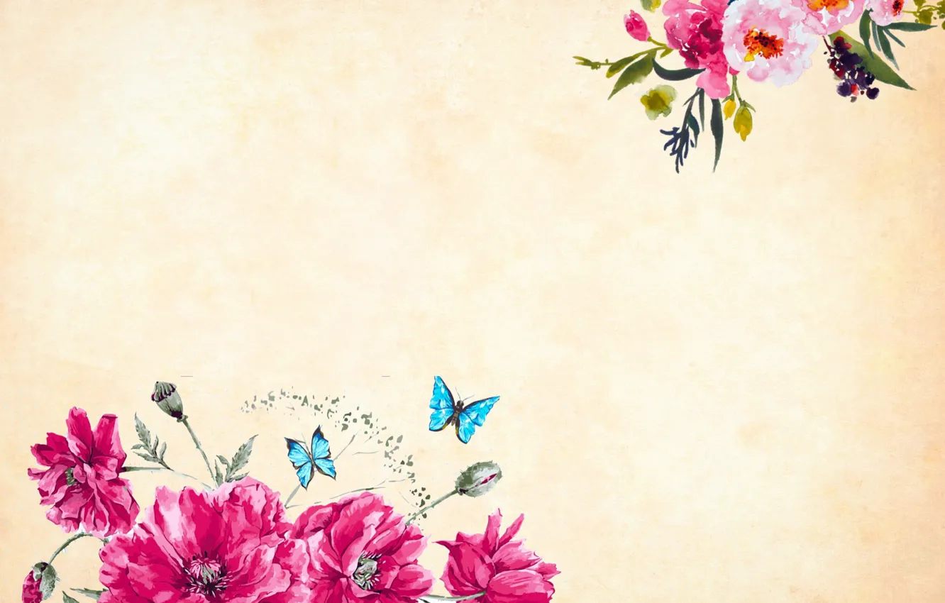 Фото обои бабочки, цветы, Фон, Текстура