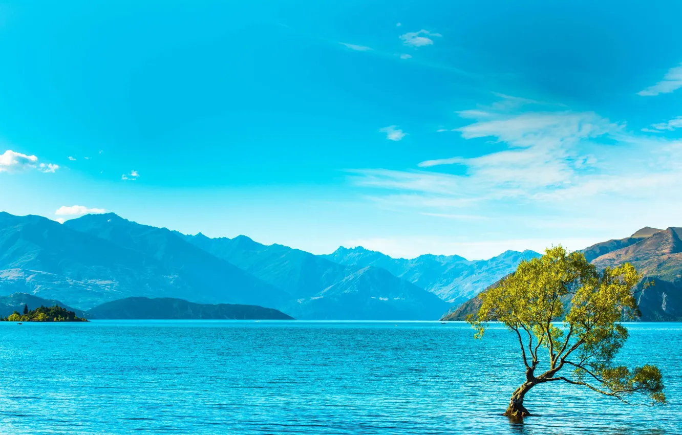 Фото обои горы, озеро, дерево, mountains, lake, tree
