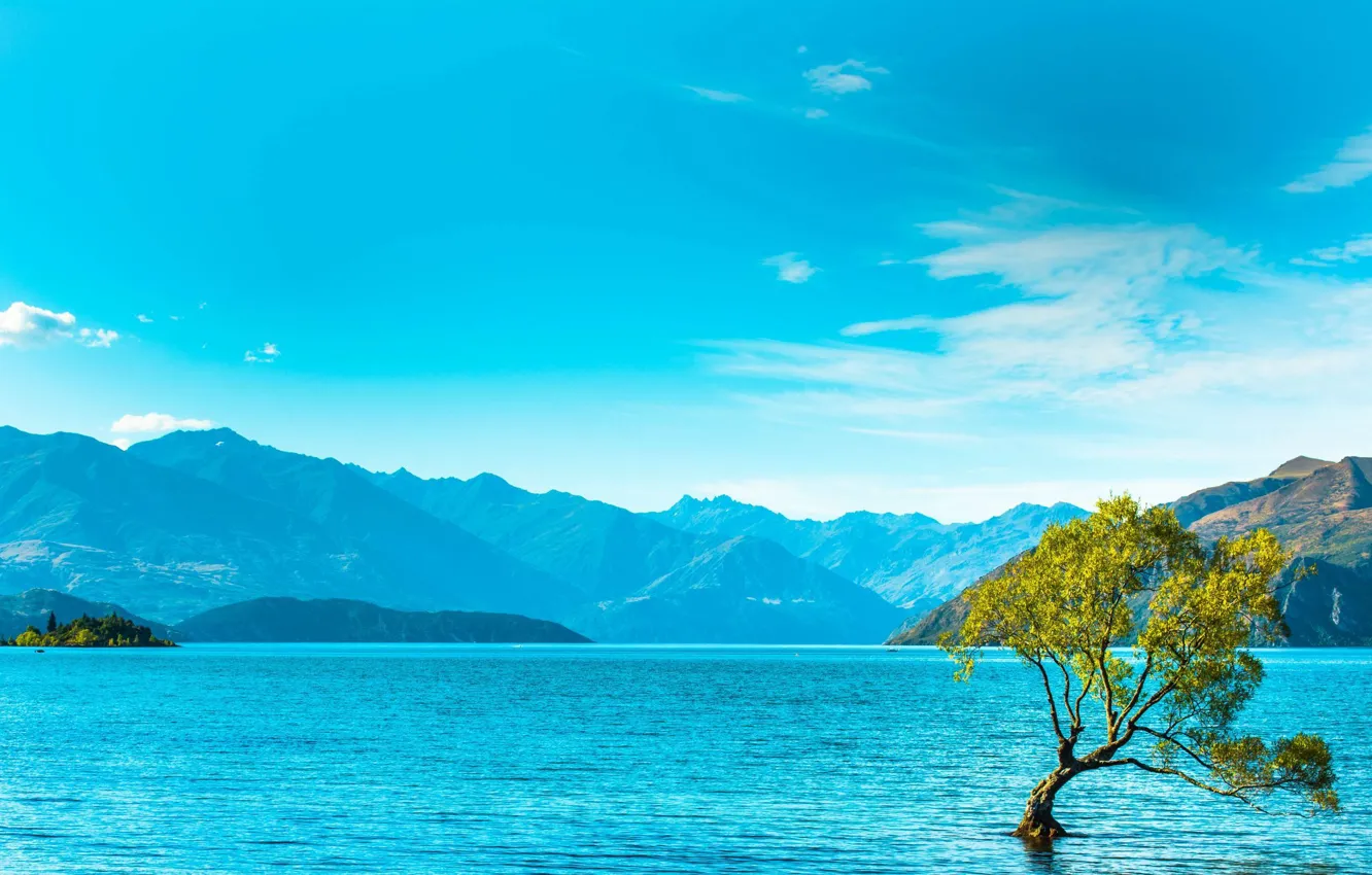 Фото обои деревья, горы, озеро, mountains, lake, tree