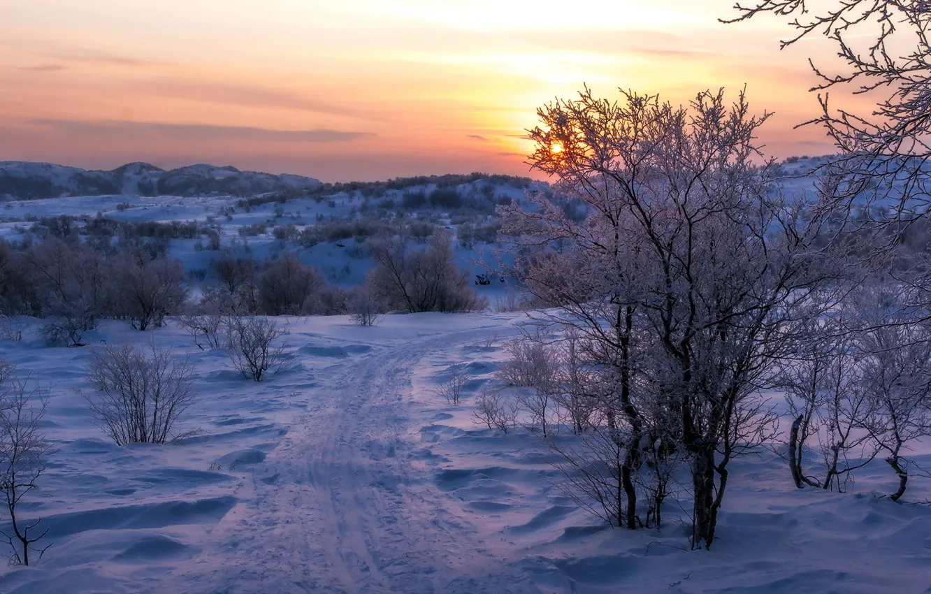 Фото обои дорога, снег, закат