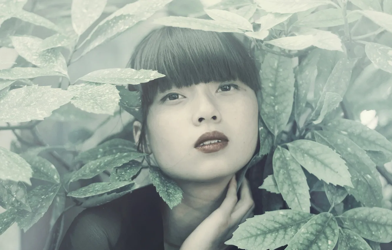 Фото обои листья, девушка, портрет, азиатка