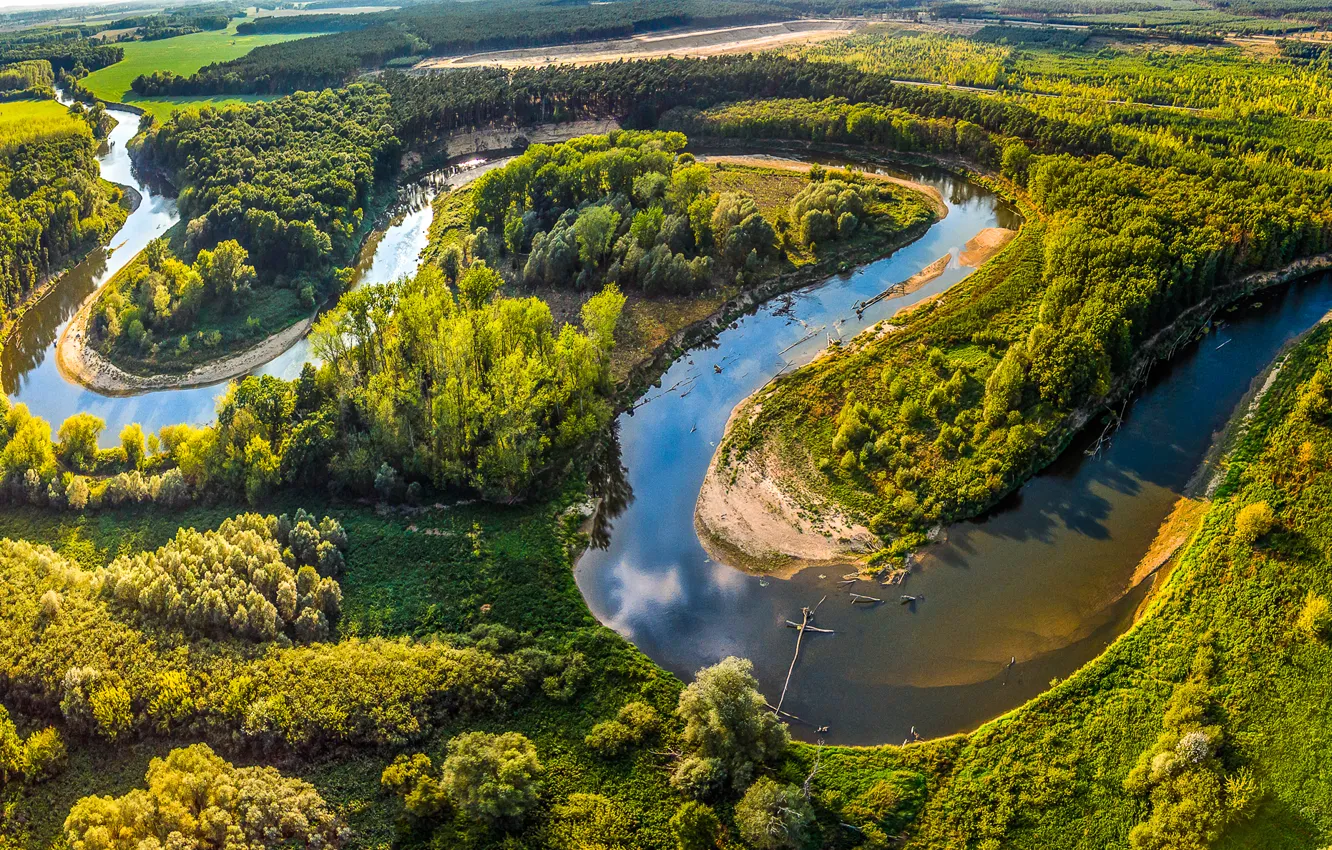 Фото обои зелень, лето, солнце, деревья, река, поля, Чехия, панорама