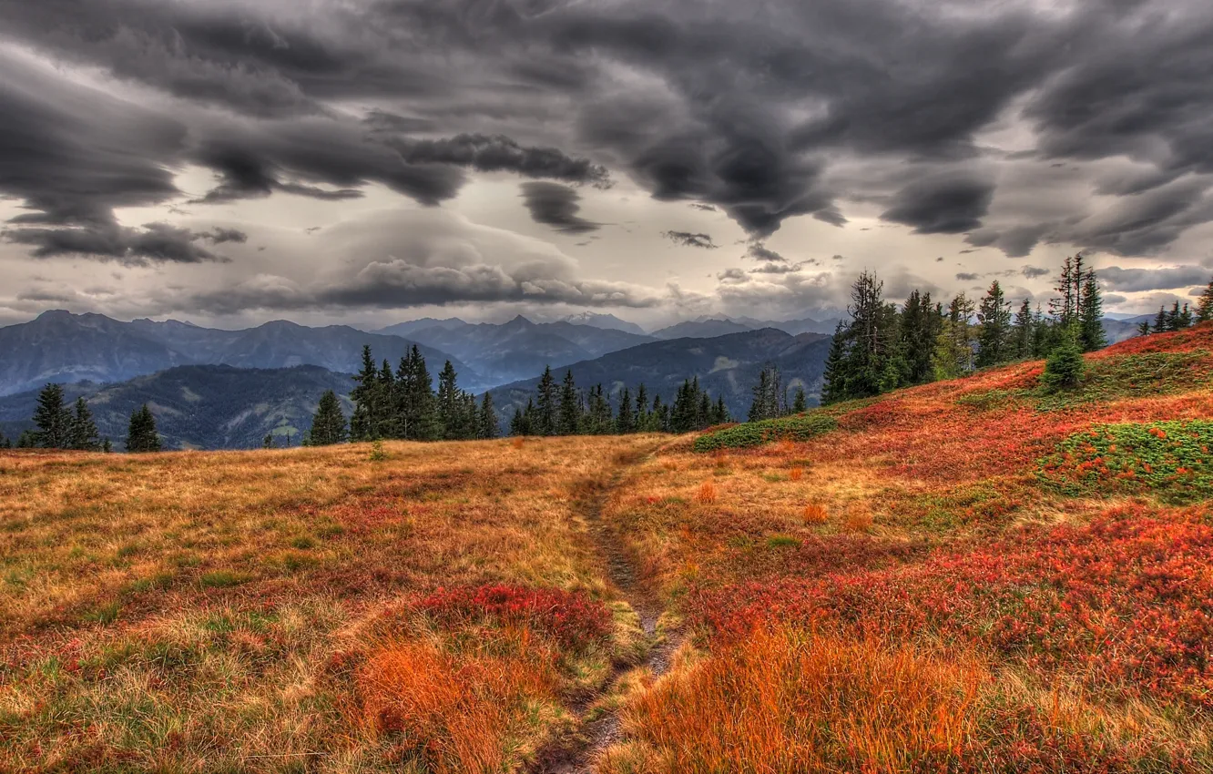 Фото обои осень, трава, горы, тучи, пасмурно, дорожка, тропинка, желтая