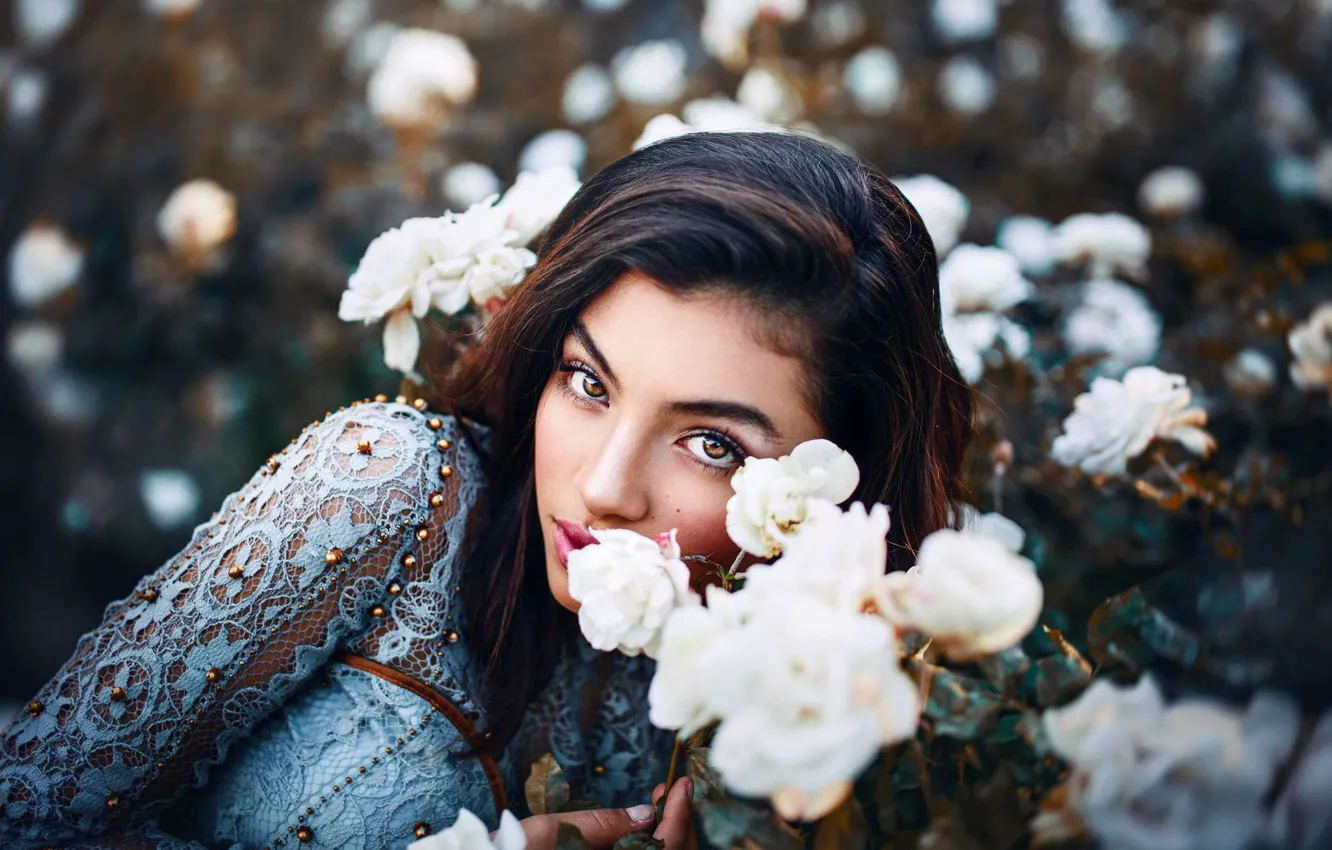 Фото обои взгляд, девушка, цветы, лицо, настроение, розы, Igncia lbornoz