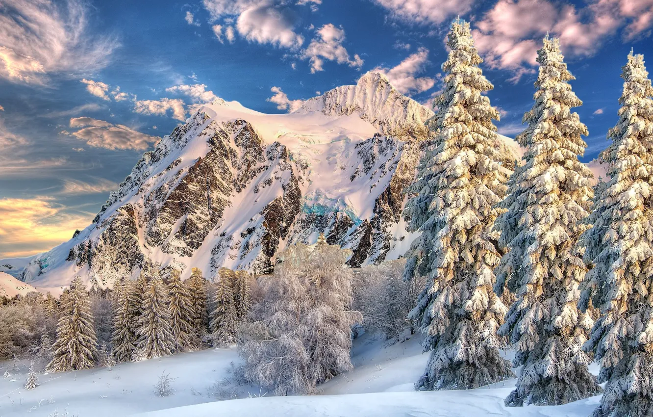 Фото обои зима, небо, облака, снег, деревья, пейзаж, горы, ель