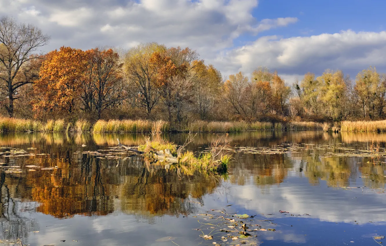 Фото обои осень, трава, облака, деревья, пейзаж, природа, река, берег