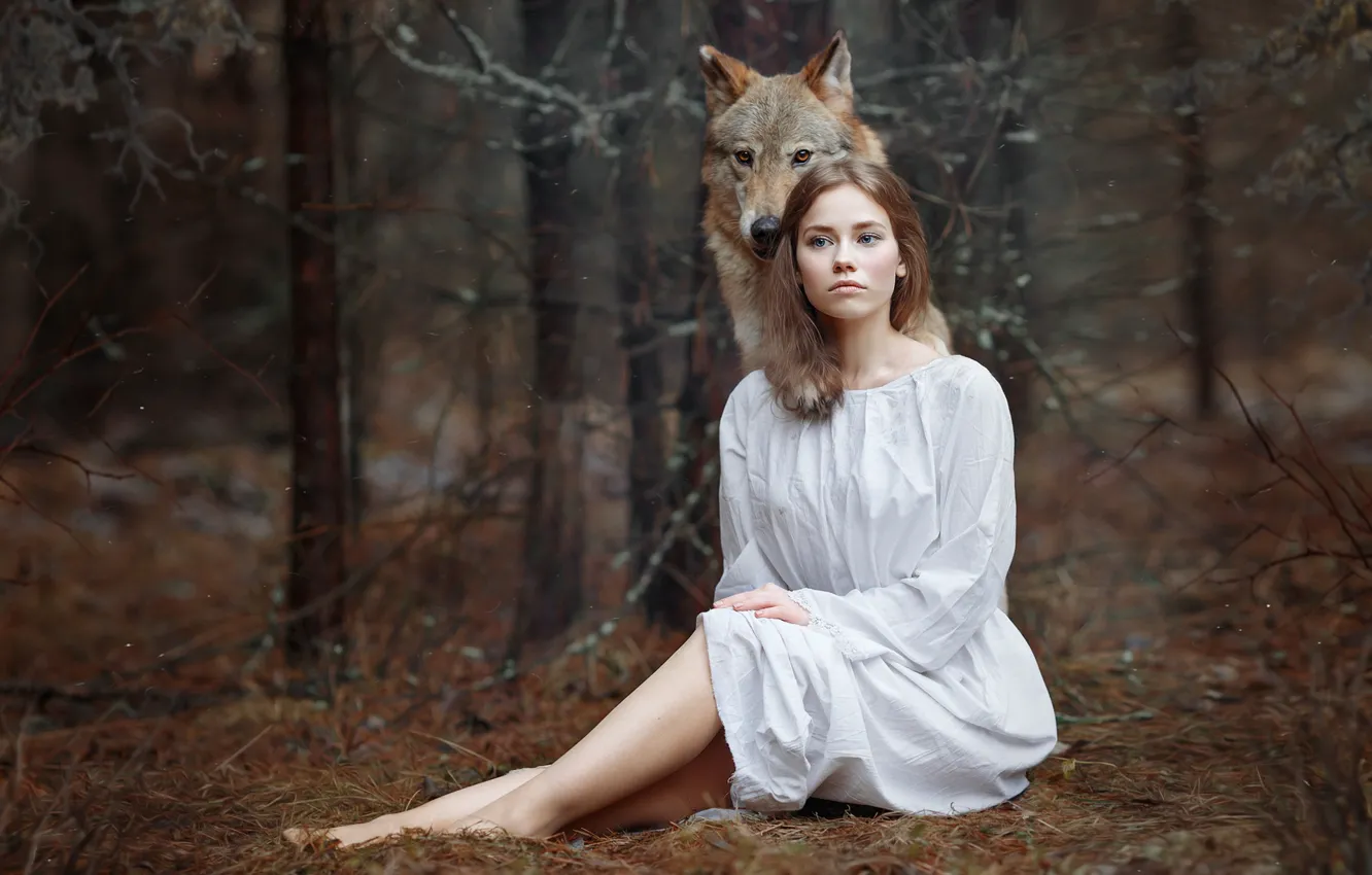 Фото обои лес, девушка, волк, Светлана Никотина, Алёна Зверева