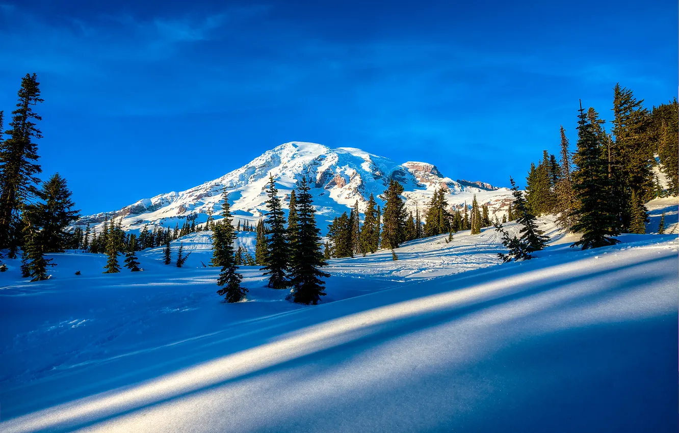 Фото обои зима, небо, облака, снег, деревья, горы, ель, склон