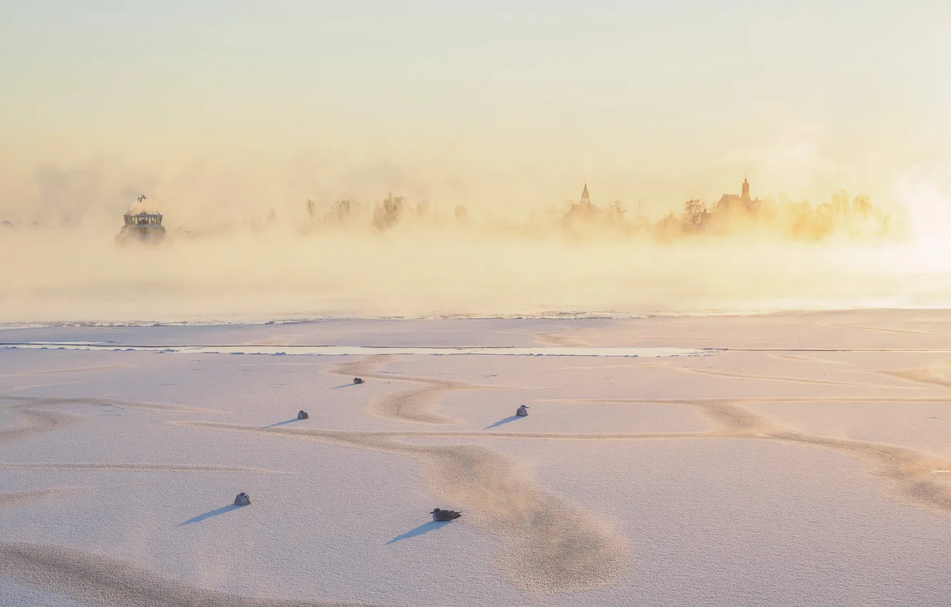 Фото обои зима, птицы, туман, река, утро