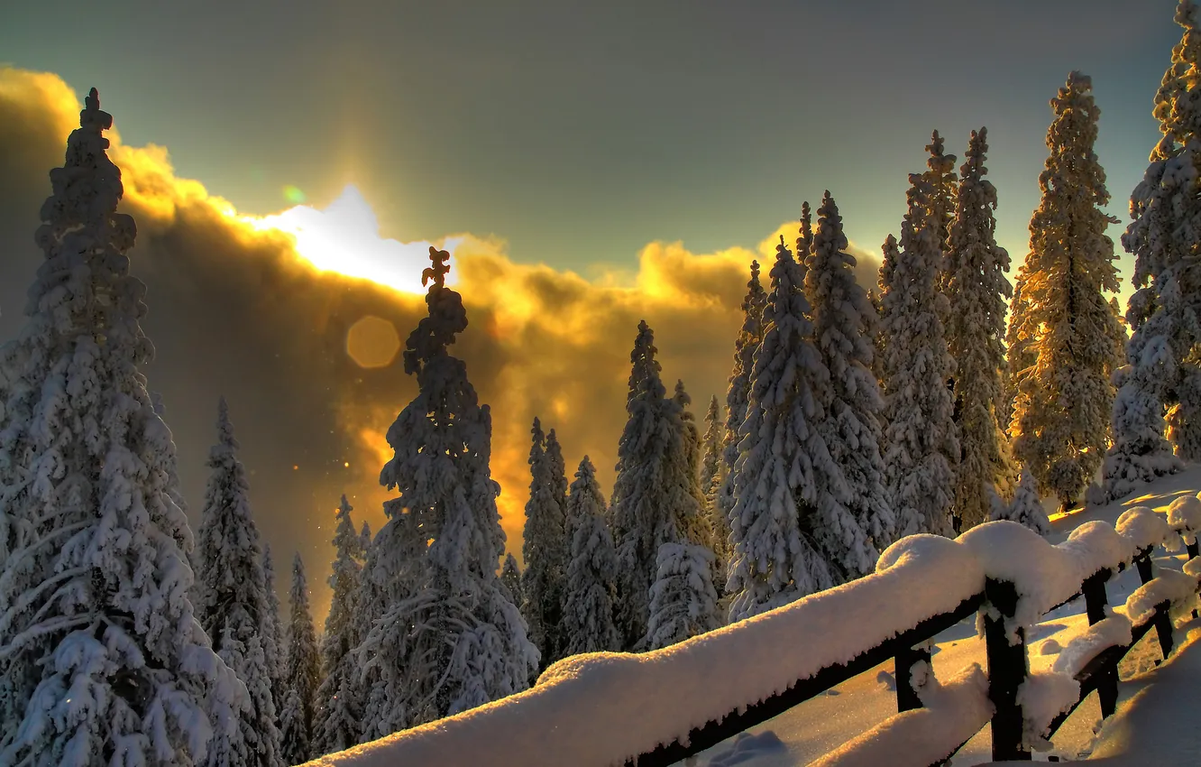 Фото обои зима, лес, свет, горы