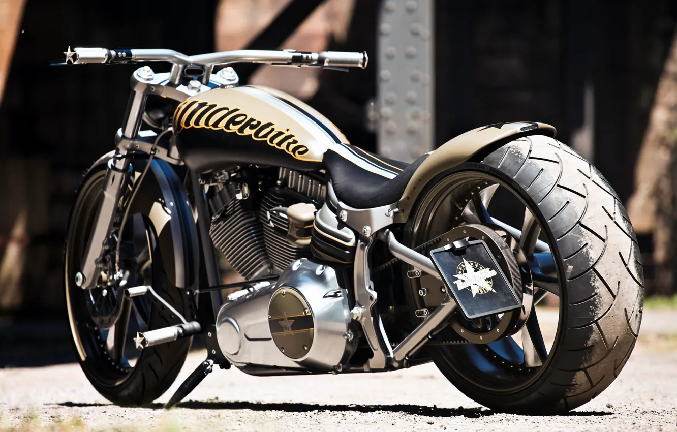 Фото обои Harley-Davidson, Custom, Thunderbike