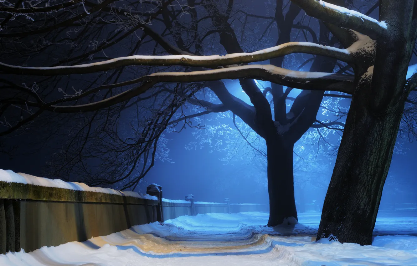 Фото обои зима, свет, снег, деревья, ночь, природа, парк, стена