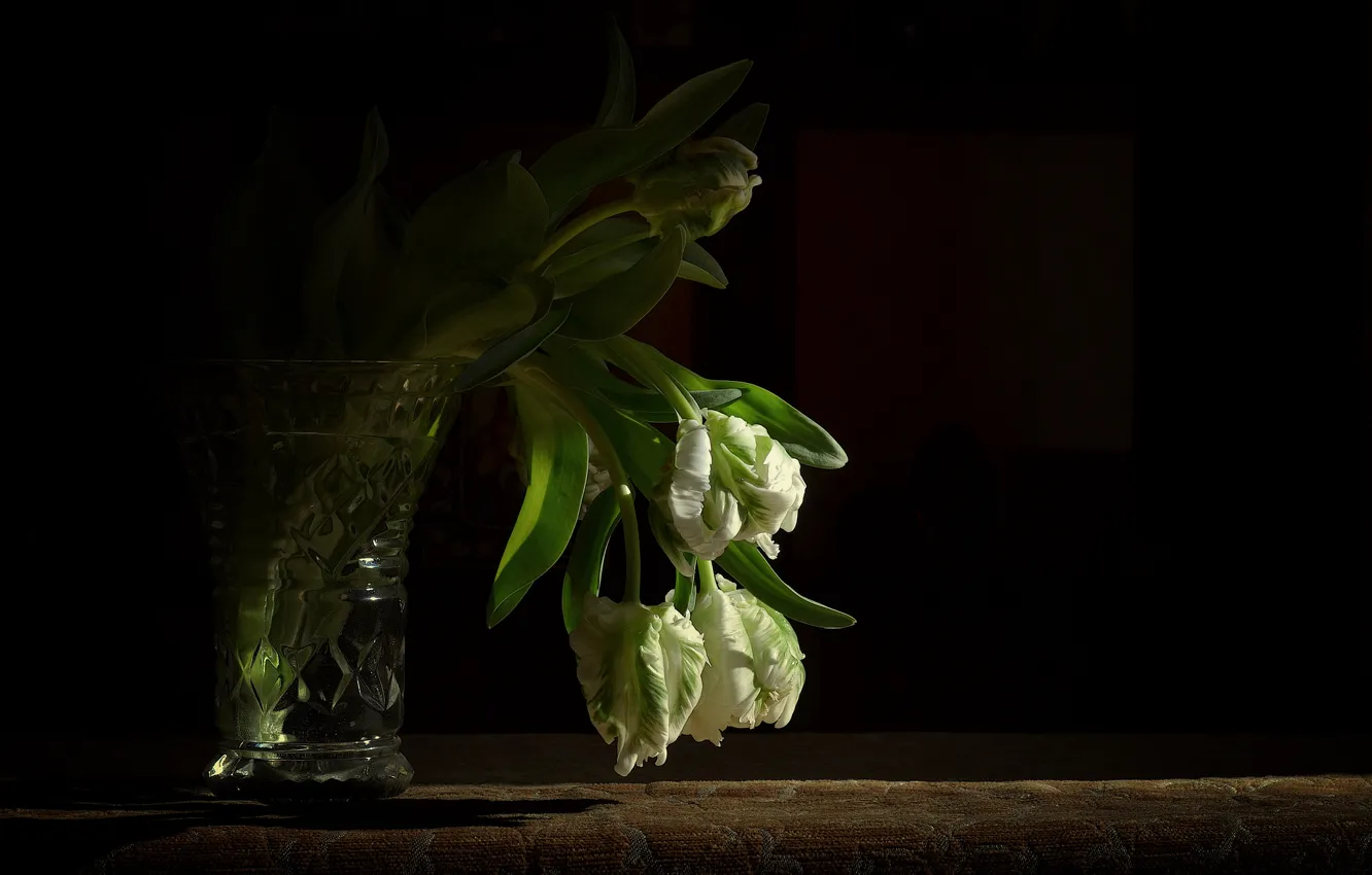 Фото обои фон, черный, букет, тюльпаны, ваза, белые