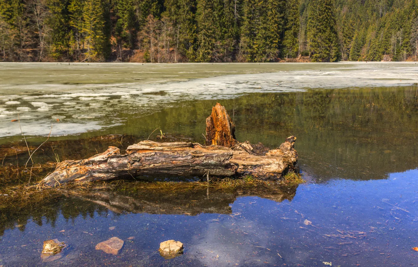 Фото обои водоем, Spring 2018, The Red Lake, vernal, Lacu Rosu