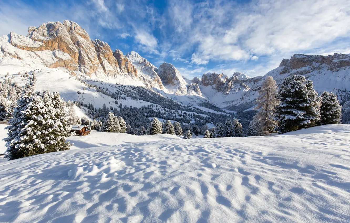 Фото обои зима, снег, деревья, пейзаж, горы, елки, landscape, nature