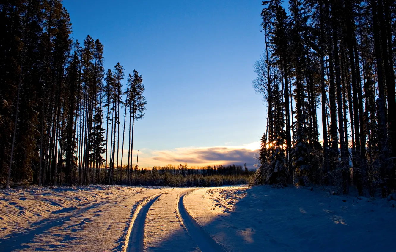 Фото обои зима, дорога, лес, снег, деревья, дерево, рассвет, пейзажи