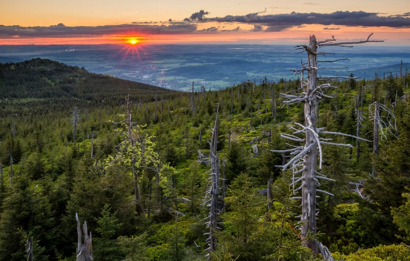 Фото обои лес, деревья, закат, Чехия, панорама, Czech Republic, Jizera Mountains, Йизерские горы