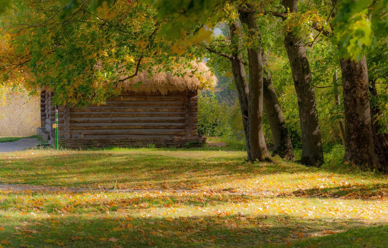 Фото обои осень, листья, деревья, домик
