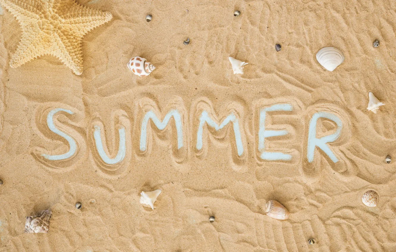 Фото обои песок, пляж, фон, текстура, ракушки, summer, beach, texture