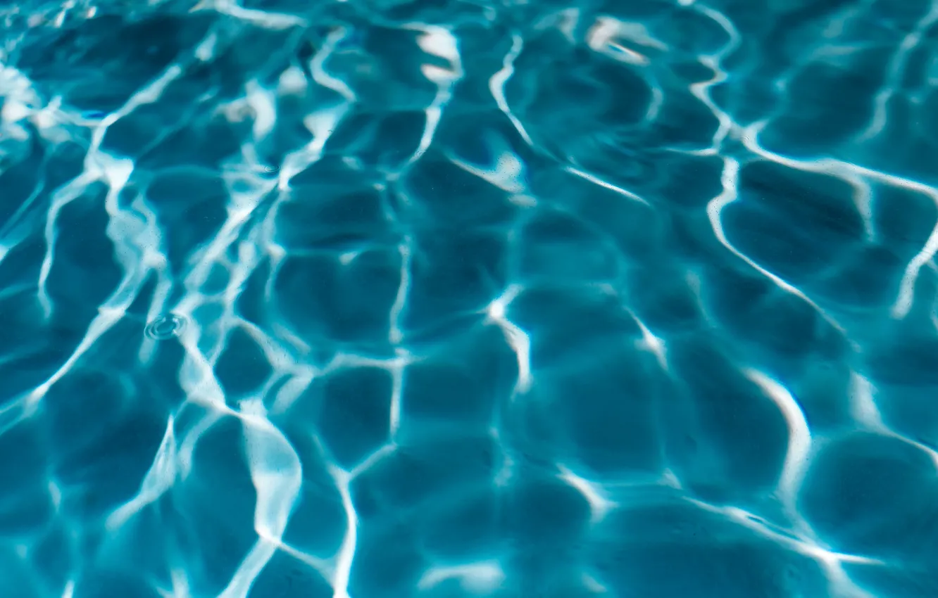 Фото обои pool, blue, water
