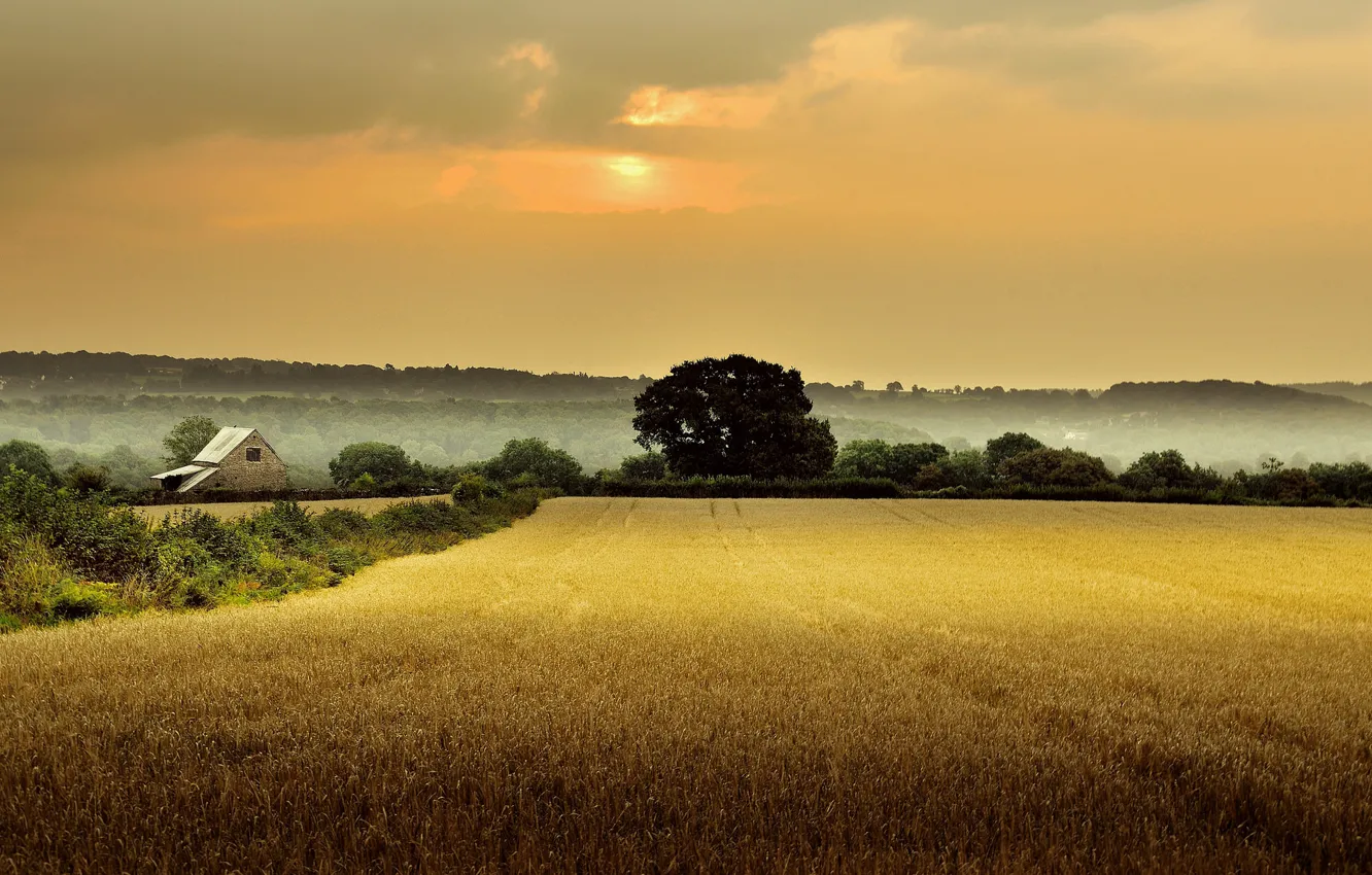 Фото обои поле, деревья, туман, дом, рассвет, Англия, утро, Глостершир