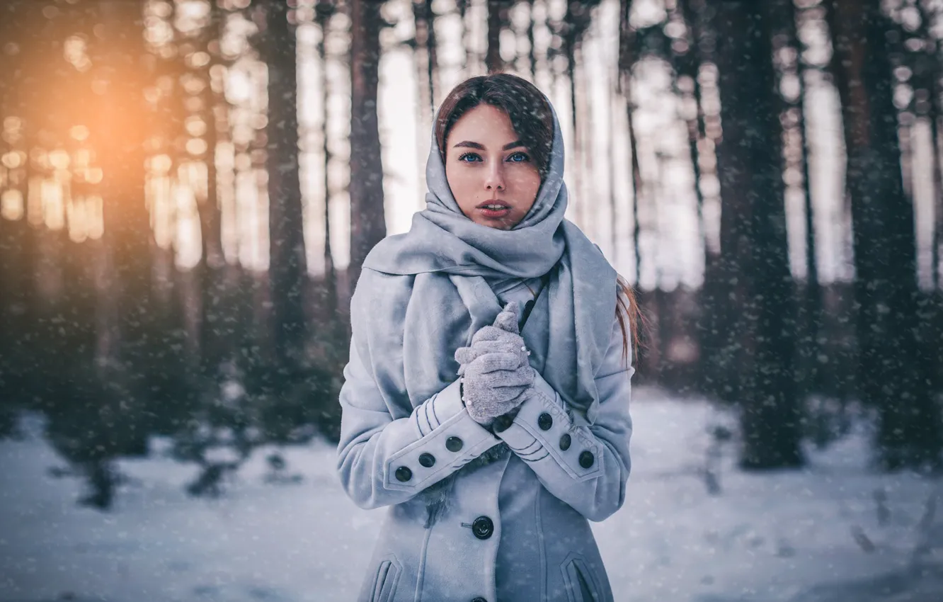 Фото обои зима, лес, взгляд, солнце, снег, деревья, поза, парк