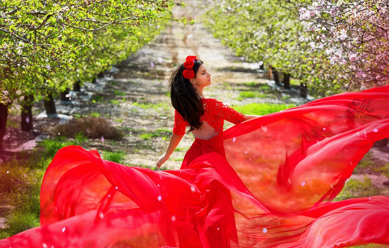 Фото обои девушка, поза, красное, весна, сад, платье, цветение, фотограф Malika Drobot