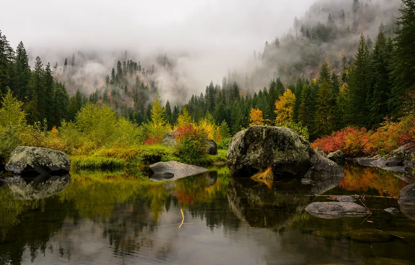 Фото обои лес, деревья, горы, туман, озеро, камни