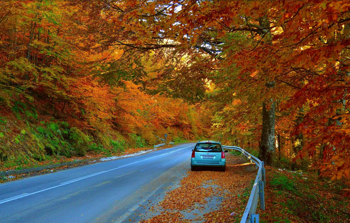 Фото обои Дорога, Осень, Машина, Car, Fall, Листва, Автомобиль, Autumn