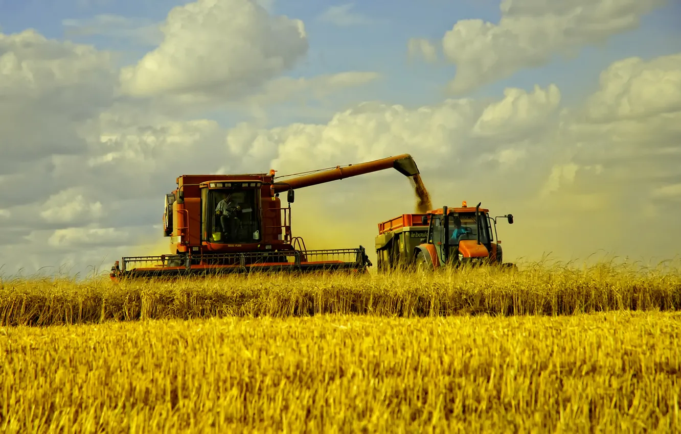 Фото обои пшеница, поле, пейзаж, машины, сено, grass, autumn, fields