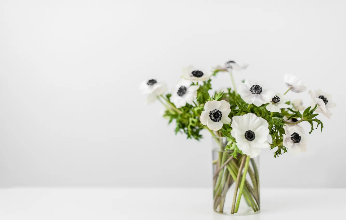 Фото обои белый, цветы, фон, мак, букет, ваза, боке