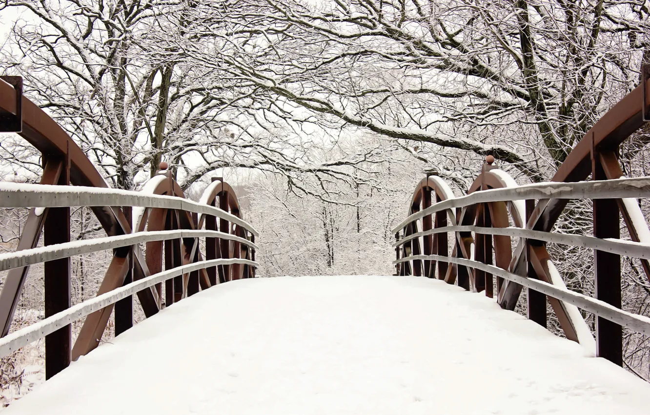Фото обои зима, снег, деревья, ветки, мост, природа, ограда