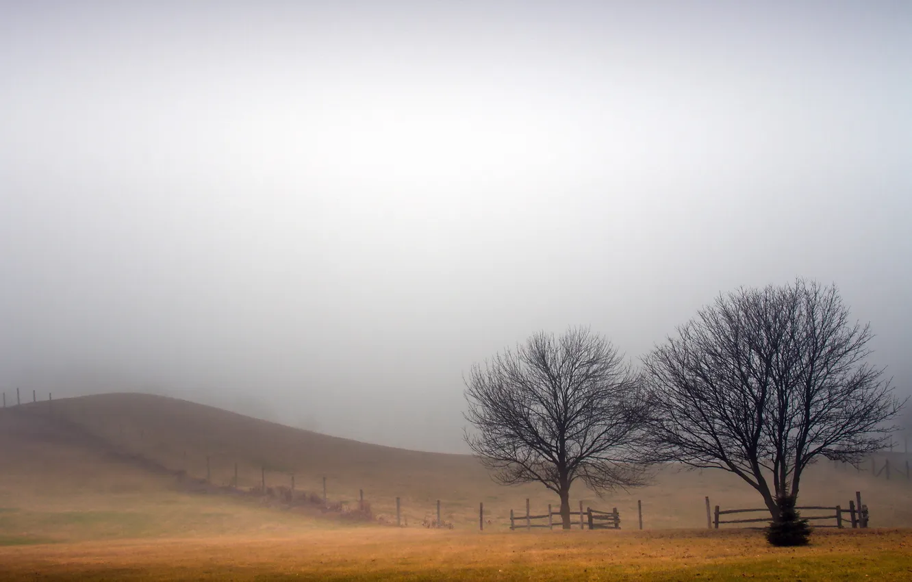 Фото обои поле, пейзаж, туман, забор