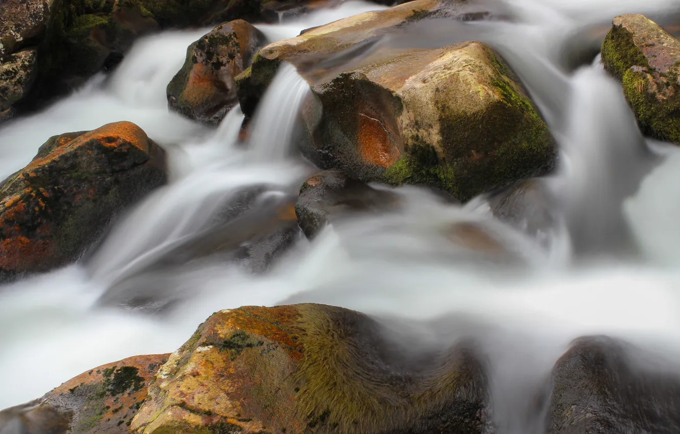 Фото обои река, ручей, камни, поток