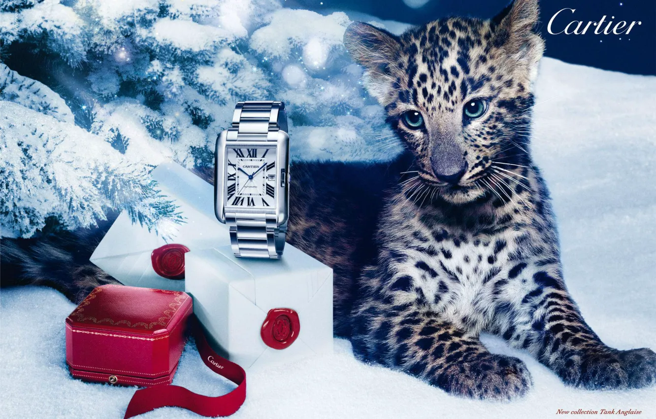 Фото обои стиль, коробка, подарок, часы, леопард, Cartier