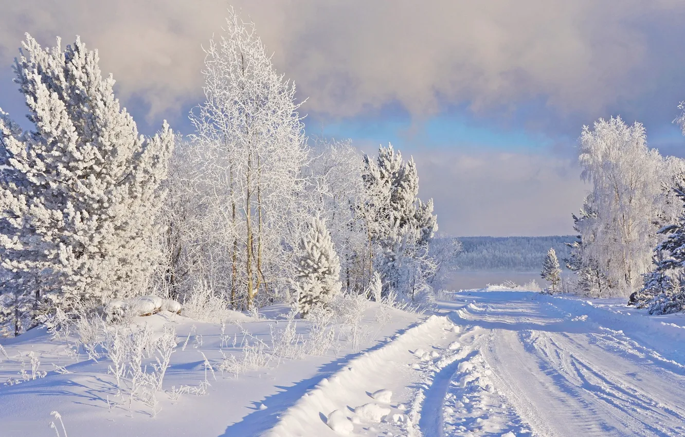Фото обои зима, иней, дорога, снег, природа, мороз