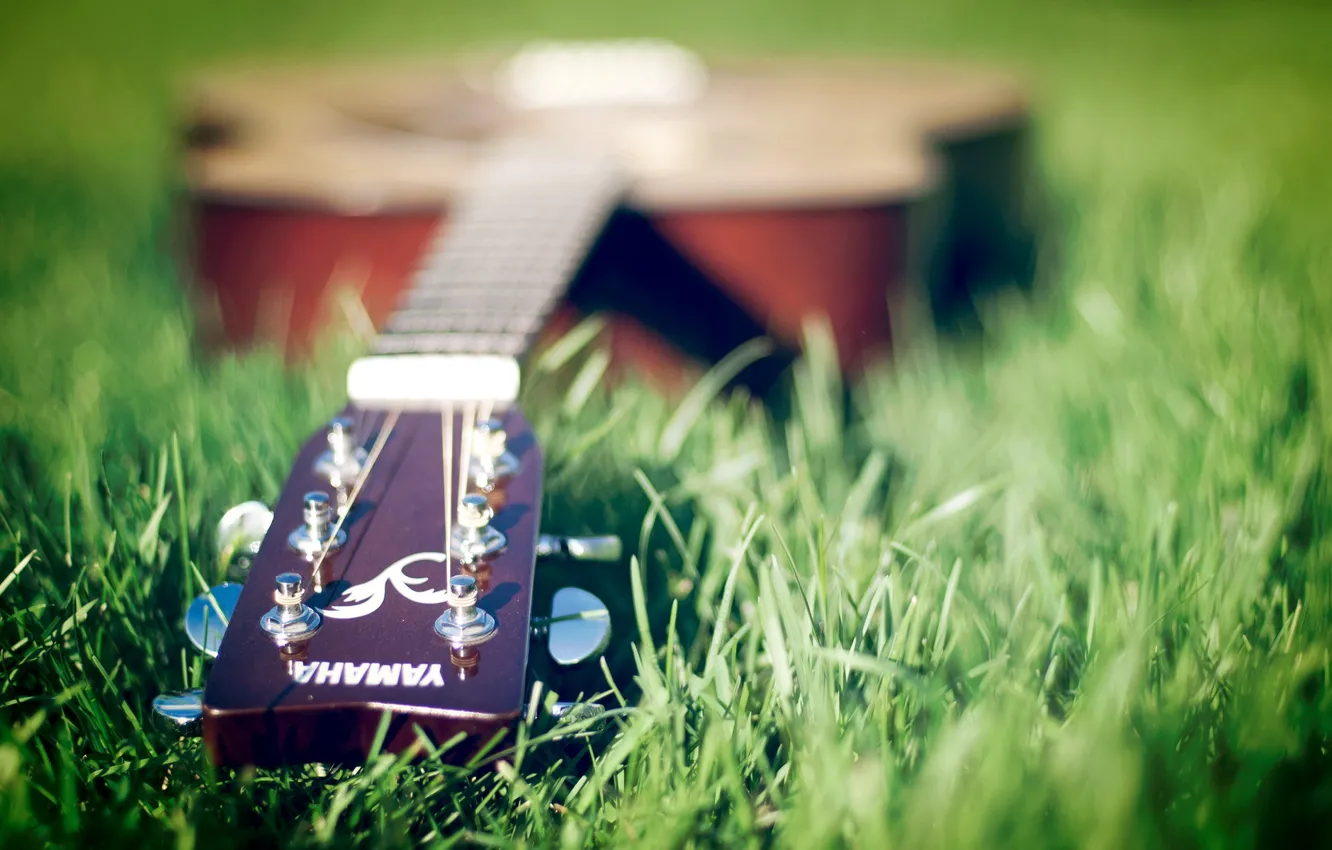 Фото обои трава, музыка, гитара