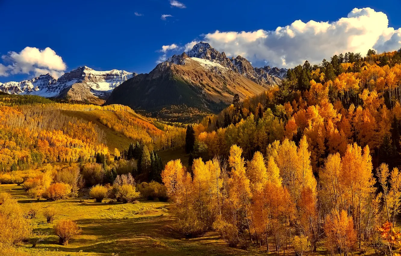 Фото обои осень, лес, небо, облака, горы, Колорадо