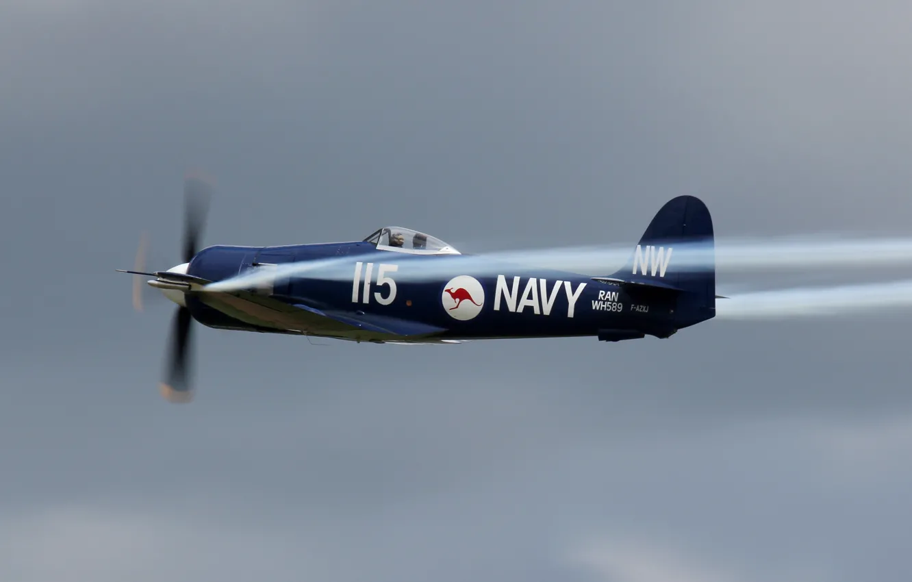 Фото обои небо, истребитель-бомбардировщик, палубный, WW2, ВМС Австралии, Hawker &ampquot;Sea Fury&ampquot; FB.Mk.11
