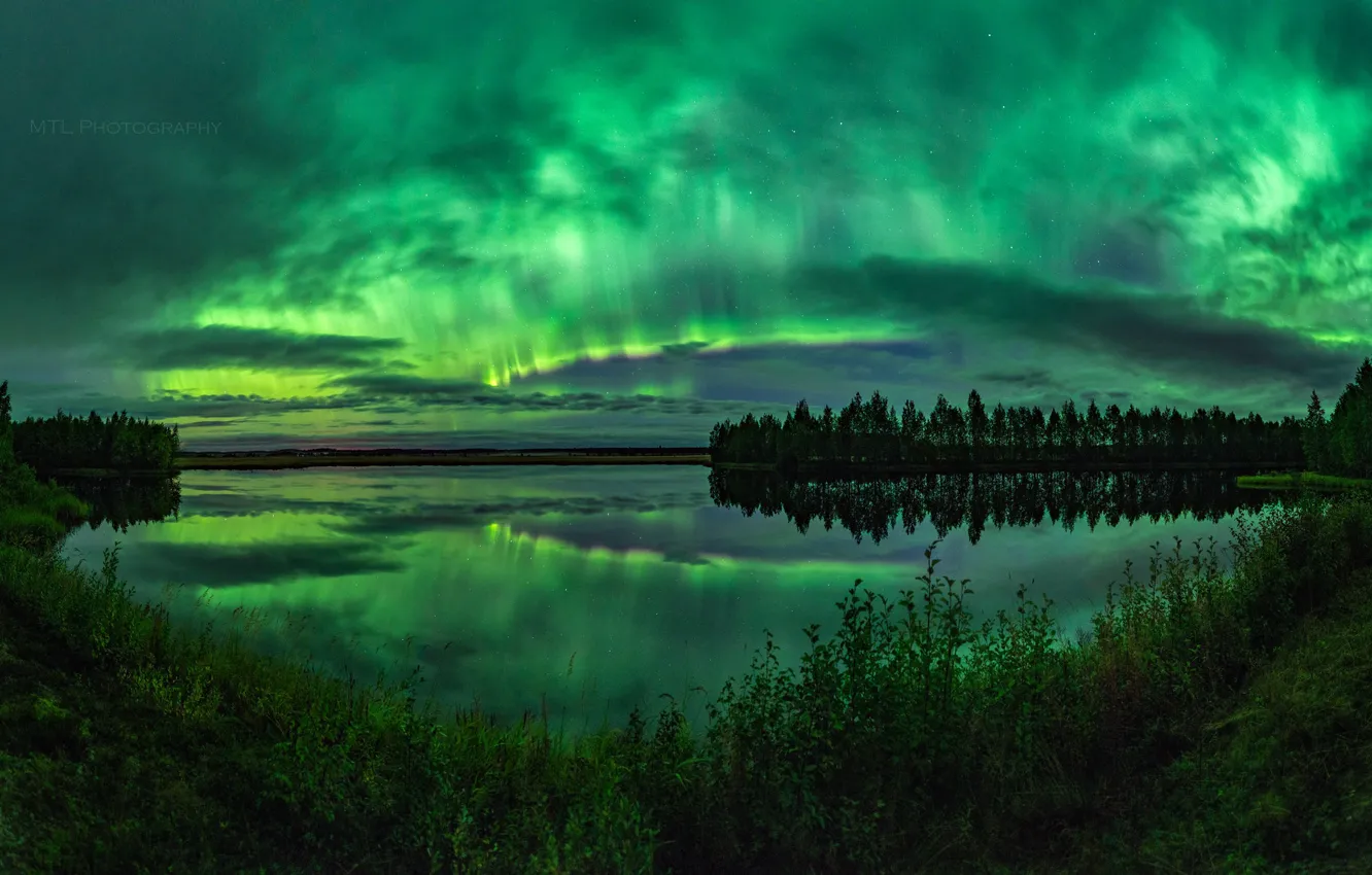 Фото обои лето, небо, деревья, ночь, озеро, северное сияние