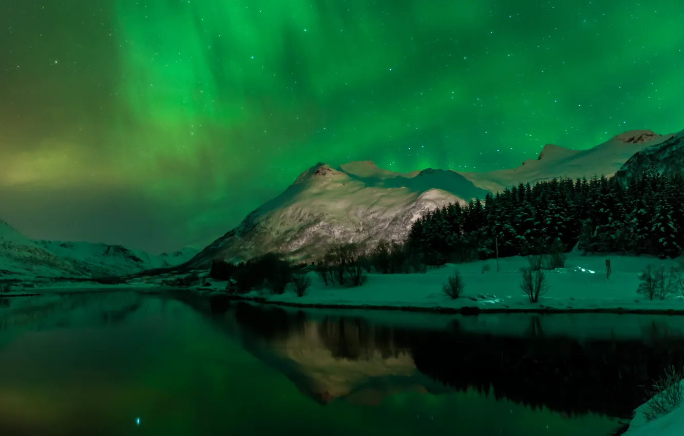 Фото обои зима, лес, небо, звезды, снег, деревья, горы, ночь